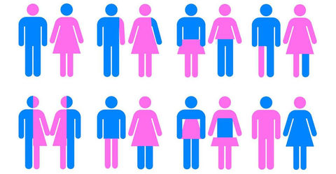DIVERSIDAD DE GENERO