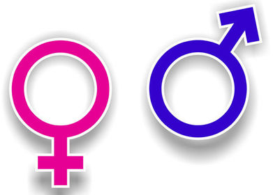 EQUIDAD DE GENERO