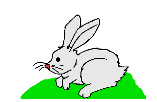 Rabbit