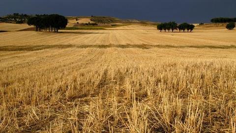 Castilla