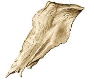 Visión lateral