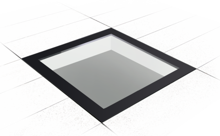 Das (x50)