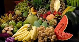 fruit