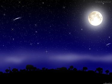 Bon soir ou Bonne nuit