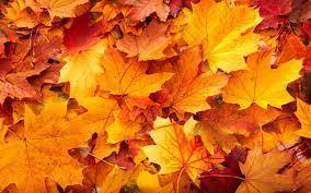 OTOÑO