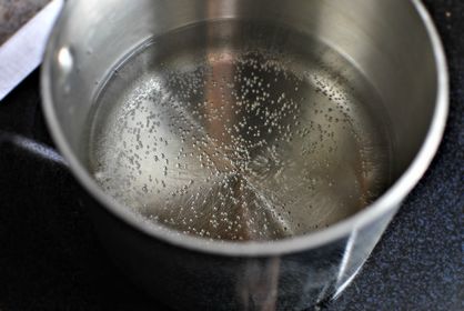 SIMMER