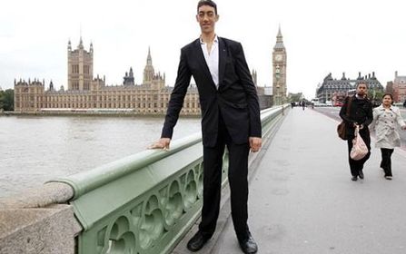 tall