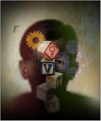 PERFIL DEL DOCENTE