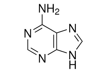 adenine(A)