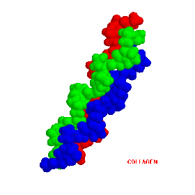 what kinds of protein are