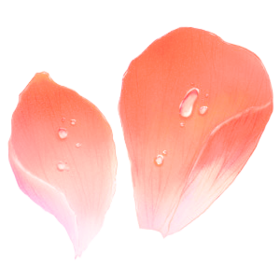 petal