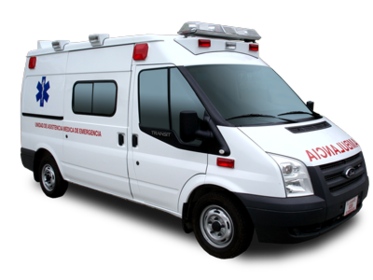 Se llevaron al muchacho enfermo en una ambulancia