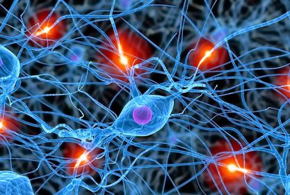 El DIFíCIL ejercicio puso a prueba nuestras neuronas