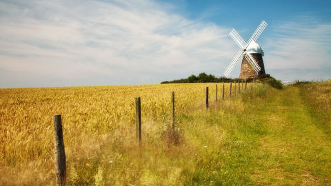 Q8. What is the field of view?