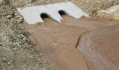 Rich black mud left behind from the flooding of the Nile river