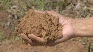 Silt