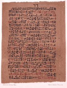 Papyrus