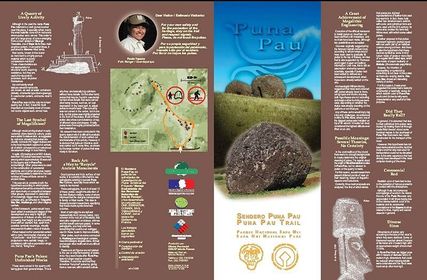 Funciones del Folleto Promociona