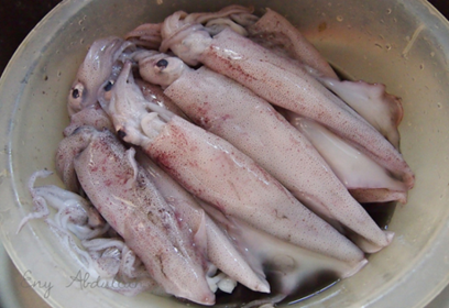 SOTONG