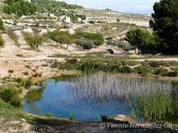 Charcas :