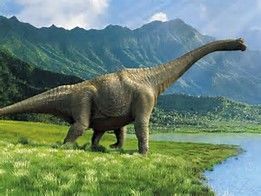 DIPLODOCUS