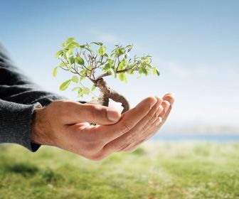 Administramos todos los recursos dados por Dios a la humanidad a manera de construir y prosperar.
