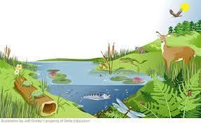What are biotic factors?