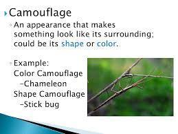 Give 6 different ways adaptations help plants?