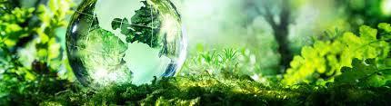 What is the environment?