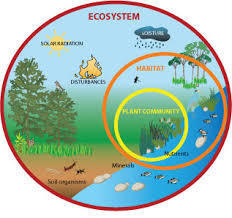 What is an ecosystem?