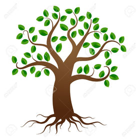 La cosmovisión es la forma como vivimos... somos como un árbol. Nuestra mentalidad son las raíces El fruto que tenemos es la consecuencia...