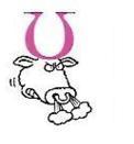 bull /bʊl/