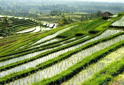 and to 2.2 million hectares