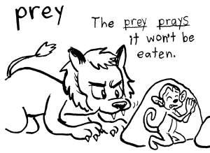 Predatory animal /prédatori ánimal/
