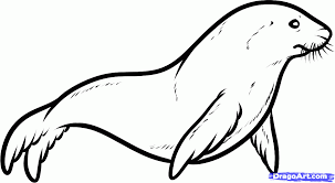 Sealion /sílaion/