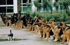 to be under siege