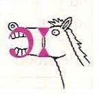 horse /hɔːs/