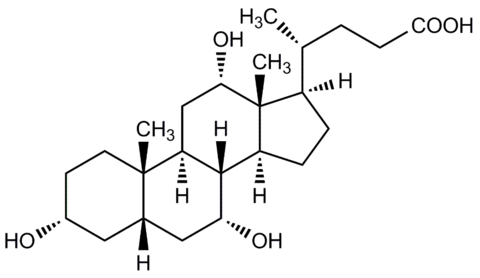 Cholsäure