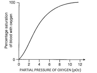 Transport of Oxygen by Haemoglobin