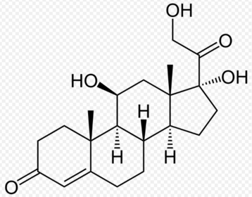 Cortisol