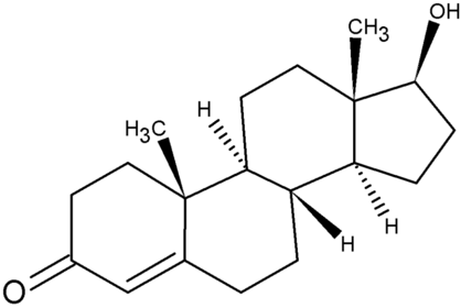 Testosteron