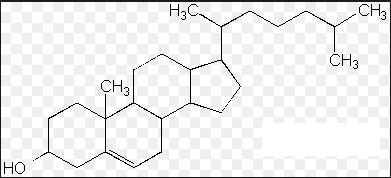 Cholesterin