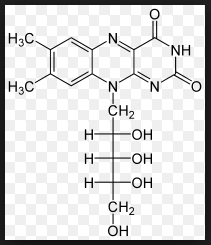 Riboflavin Vitamin B2