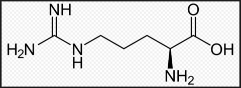basische Aminosäure
