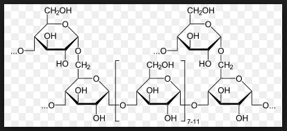 Glykogen