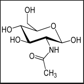 N-Acetylglucosamine (GlcNAc)