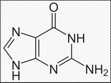 Guanin