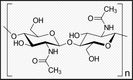 Chitin