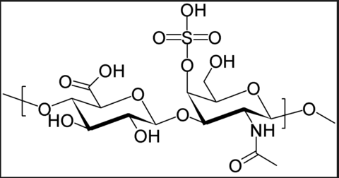 Chondroitin-4-Sulfat Dermatansulfat