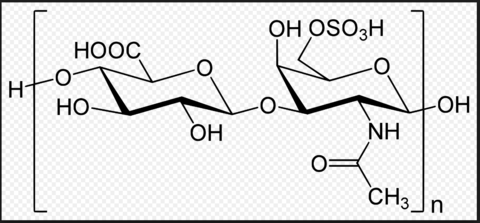Chondriotin-6-Sulfat